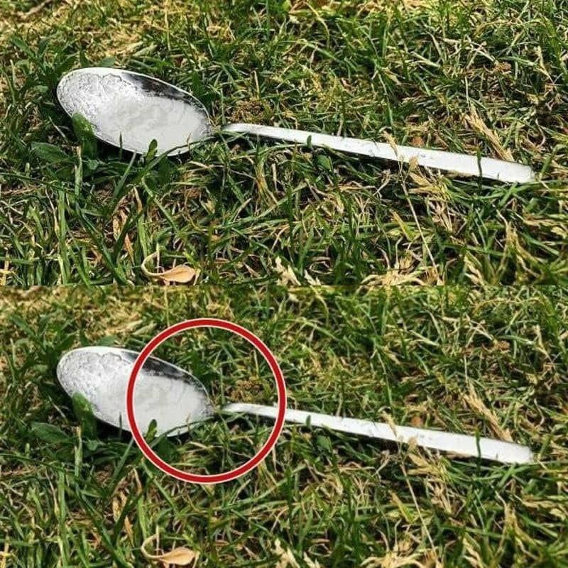 Why Leave Sugar Outside